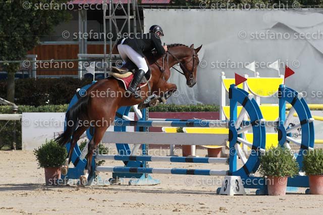 FALZINI_REMBRANDO_GIO CAV 2011_SS3_0618.jpg